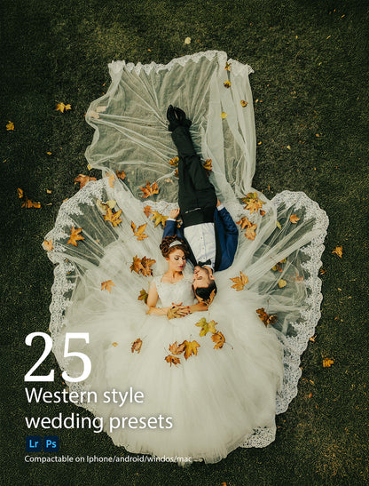 25 WESTERN STYLE PREMIUM PRESETS