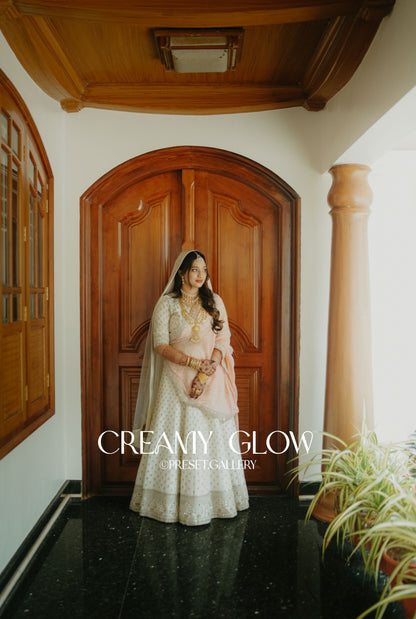 37 SELECTED PREMIUM WEDDING PRESETS (NEW)